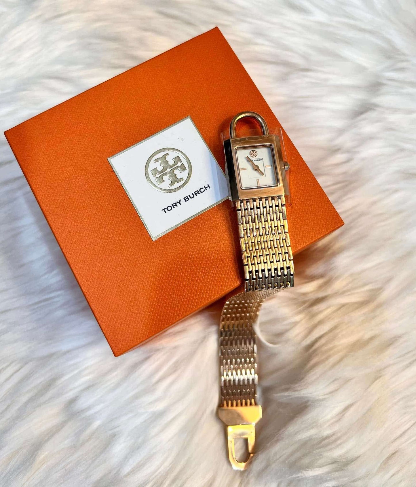 ساعة توري بورش