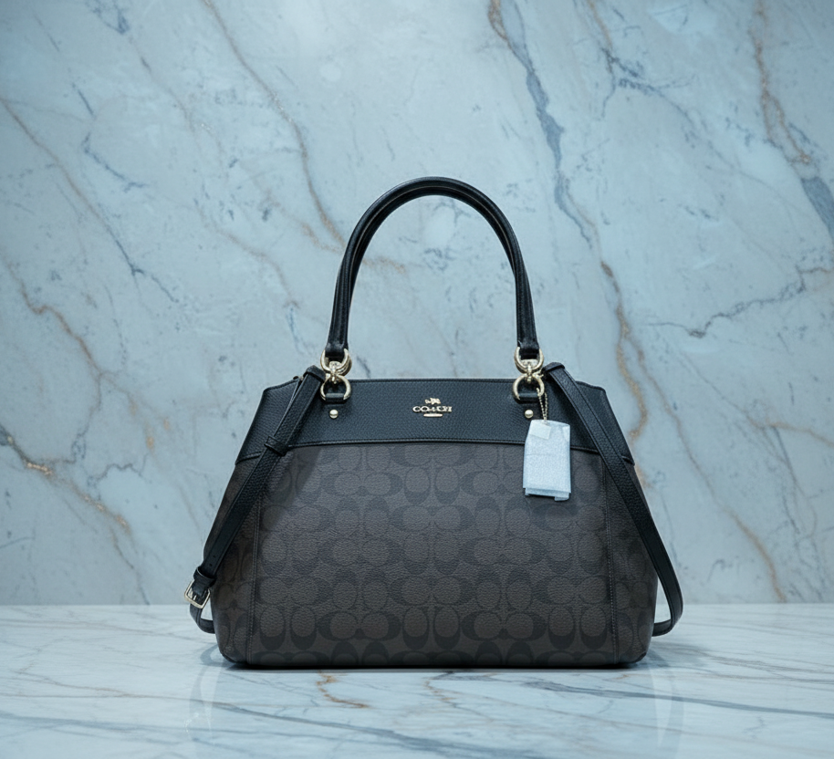 حقيبة حمل كبيرة من كوتش بروك