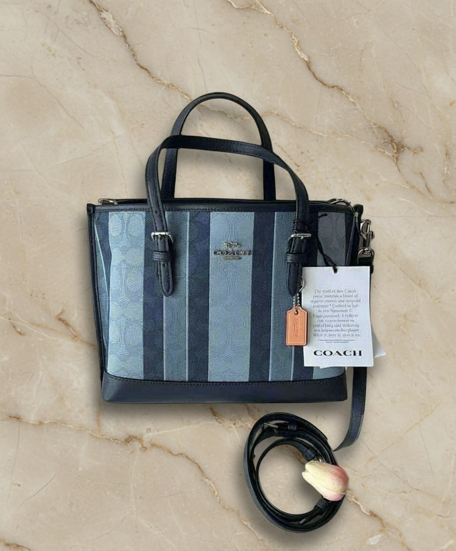 COACH MOLLIE TOTE 25 IN SIGNATURE JACQUARD WITH STRIPES - SILVER/MIDNIGHT MULTI