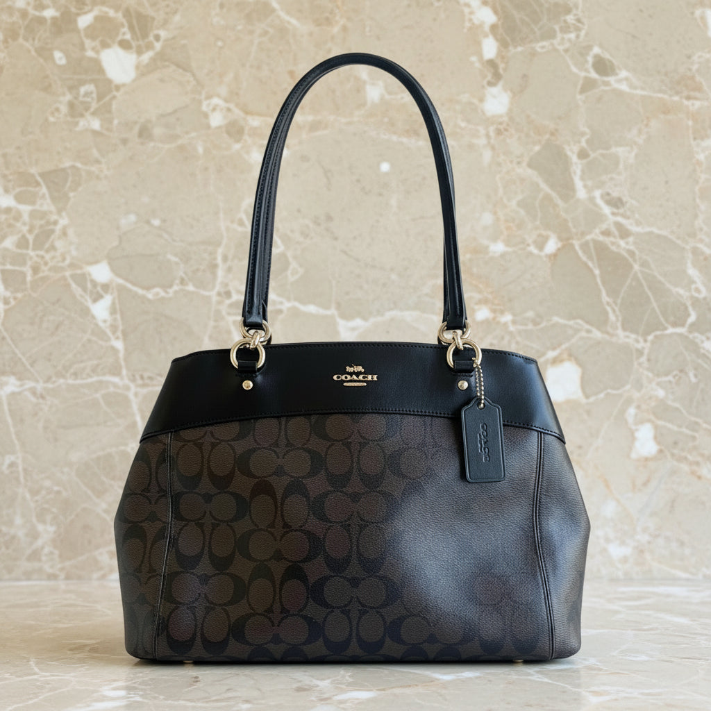 حقيبة حمل كبيرة من كوتش بروك