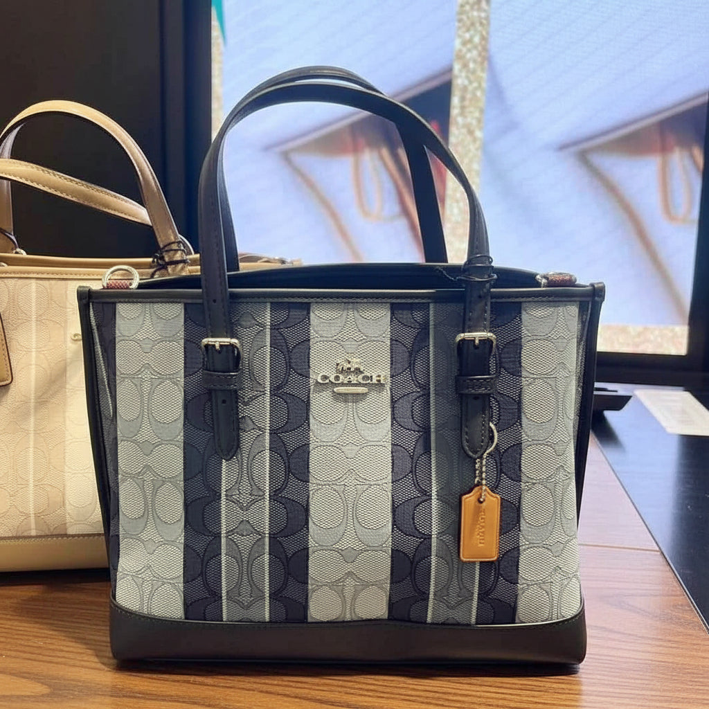 COACH MOLLIE TOTE 25 IN SIGNATURE JACQUARD WITH STRIPES - SILVER/MIDNIGHT MULTI