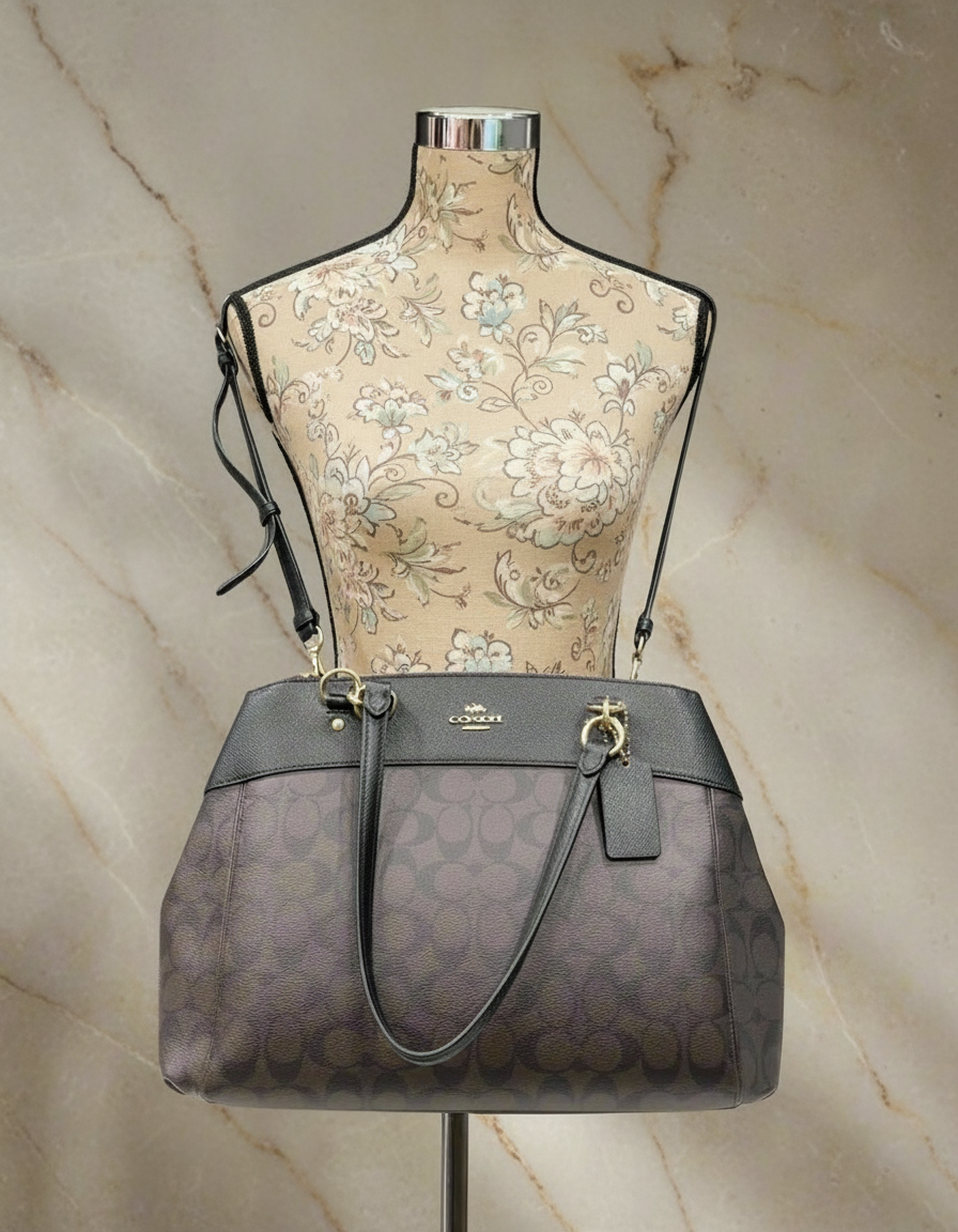 حقيبة حمل كبيرة من كوتش بروك