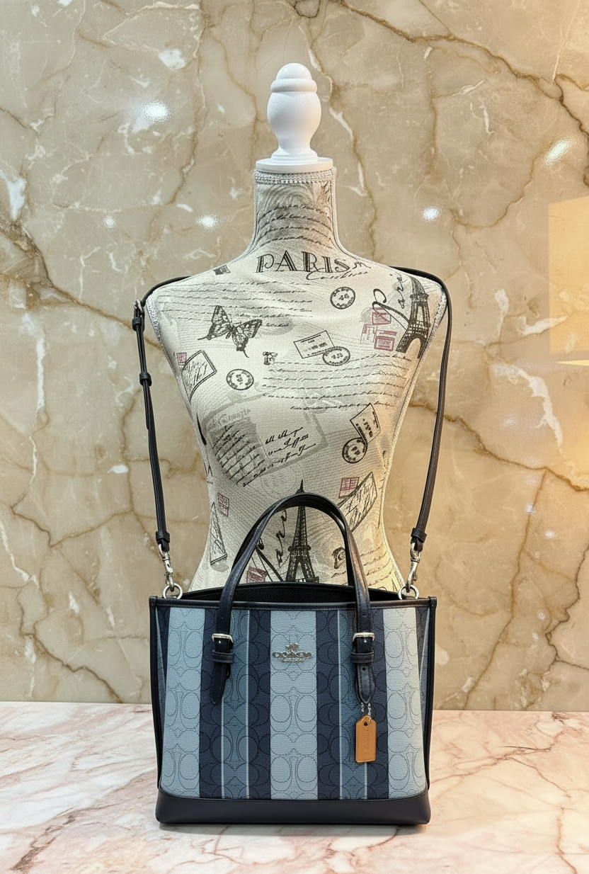 COACH MOLLIE TOTE 25 IN SIGNATURE JACQUARD WITH STRIPES - SILVER/MIDNIGHT MULTI