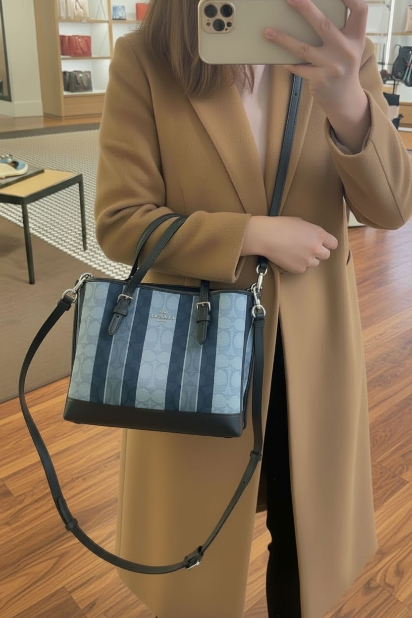 COACH MOLLIE TOTE 25 IN SIGNATURE JACQUARD WITH STRIPES - SILVER/MIDNIGHT MULTI