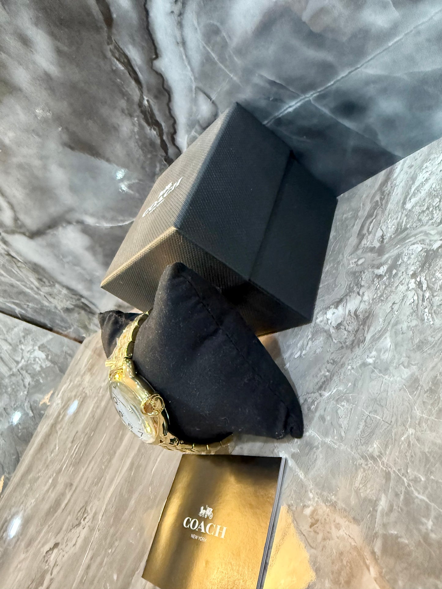 ساعة كوتش إليوت كوارتز من الفولاذ المقاوم للصدأ مطلية بالذهب - مينا صغير