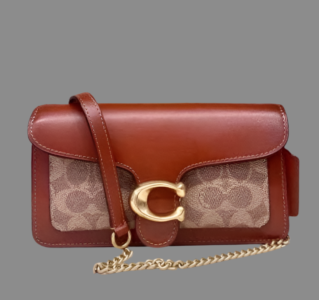 Coach Tabby Chain Clutch In Signature Canvas 21