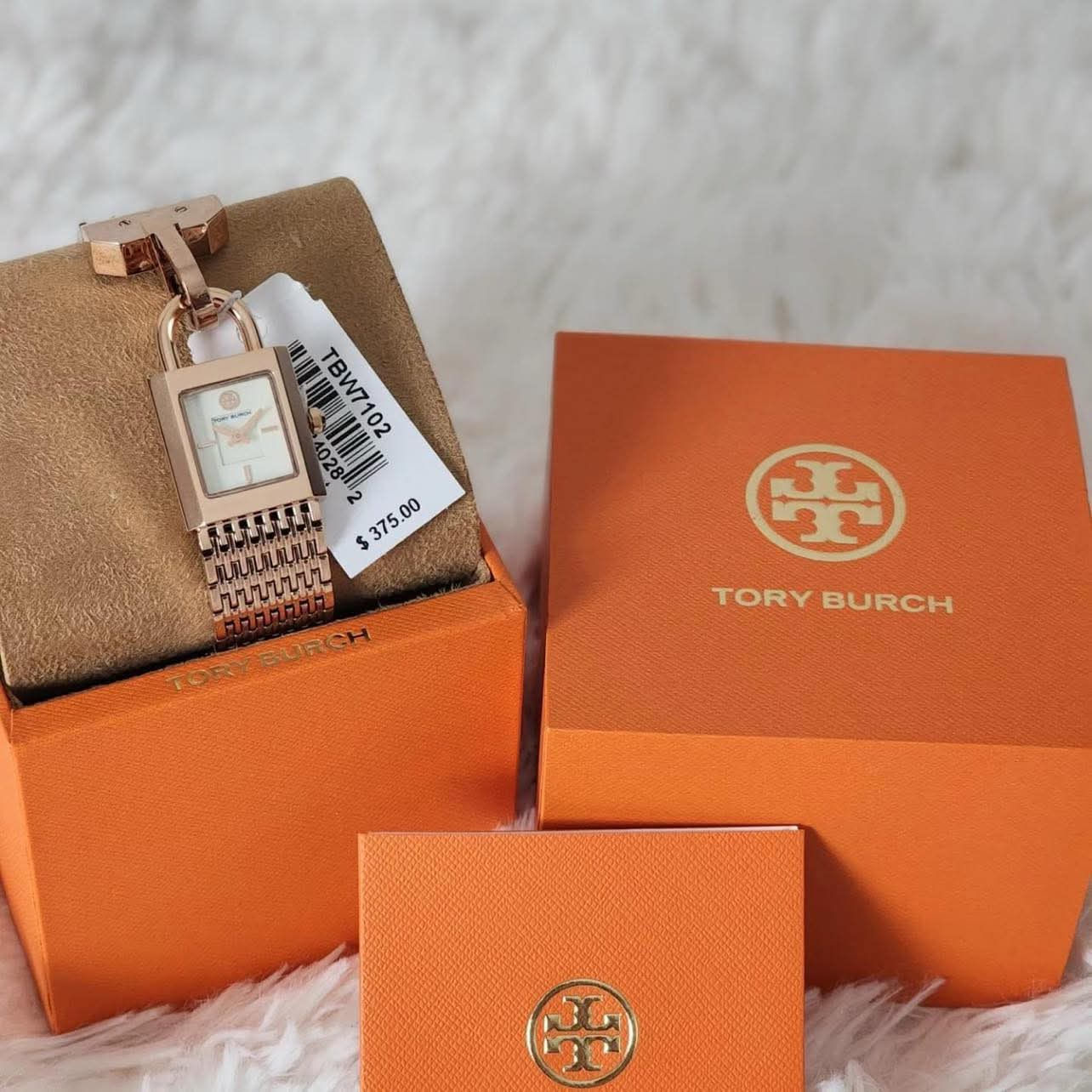 ساعة توري بورش