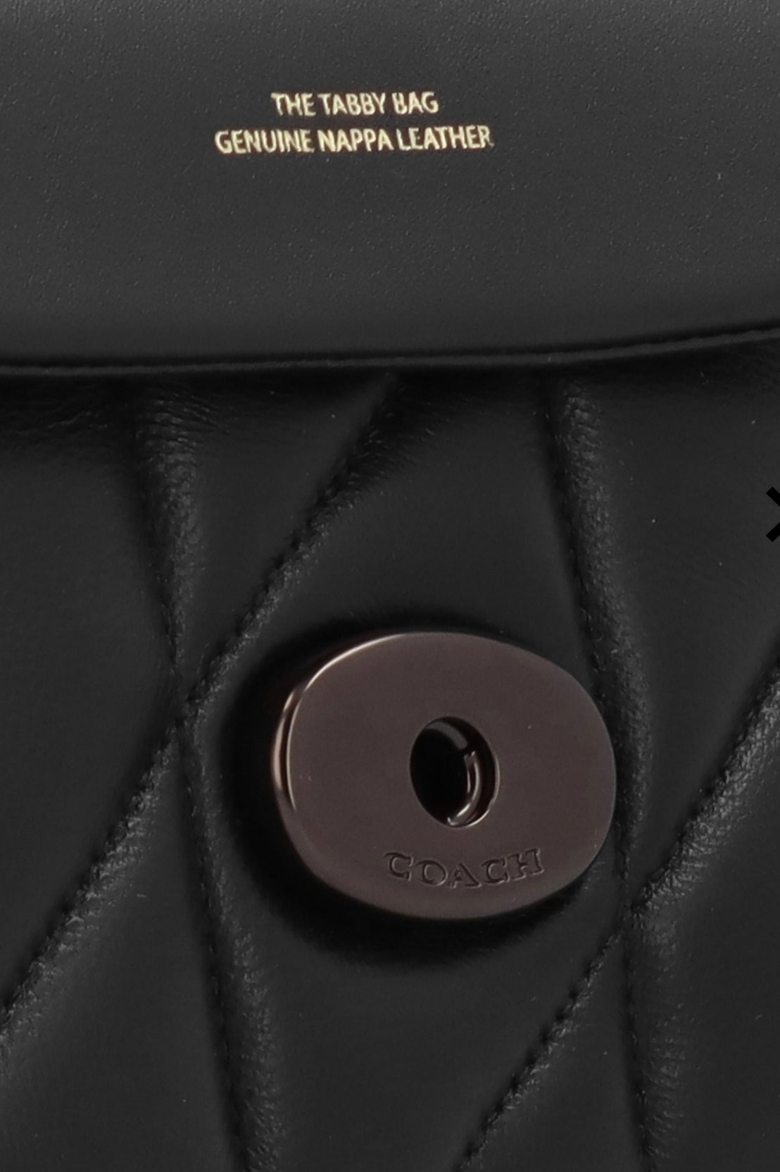 حقيبة كوتش مبطنة بنقشة تابي 20 - جلد نابا - أسود