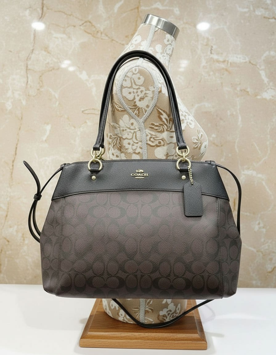 حقيبة حمل كبيرة من كوتش بروك