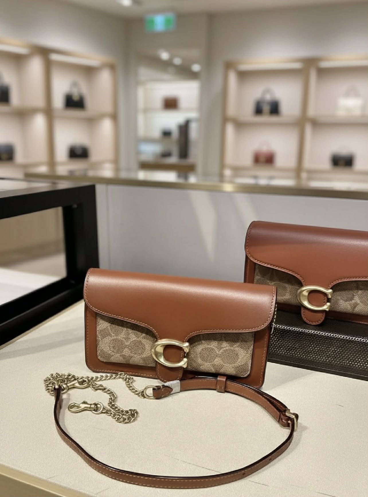 Coach Tabby Chain Clutch In Signature Canvas 21