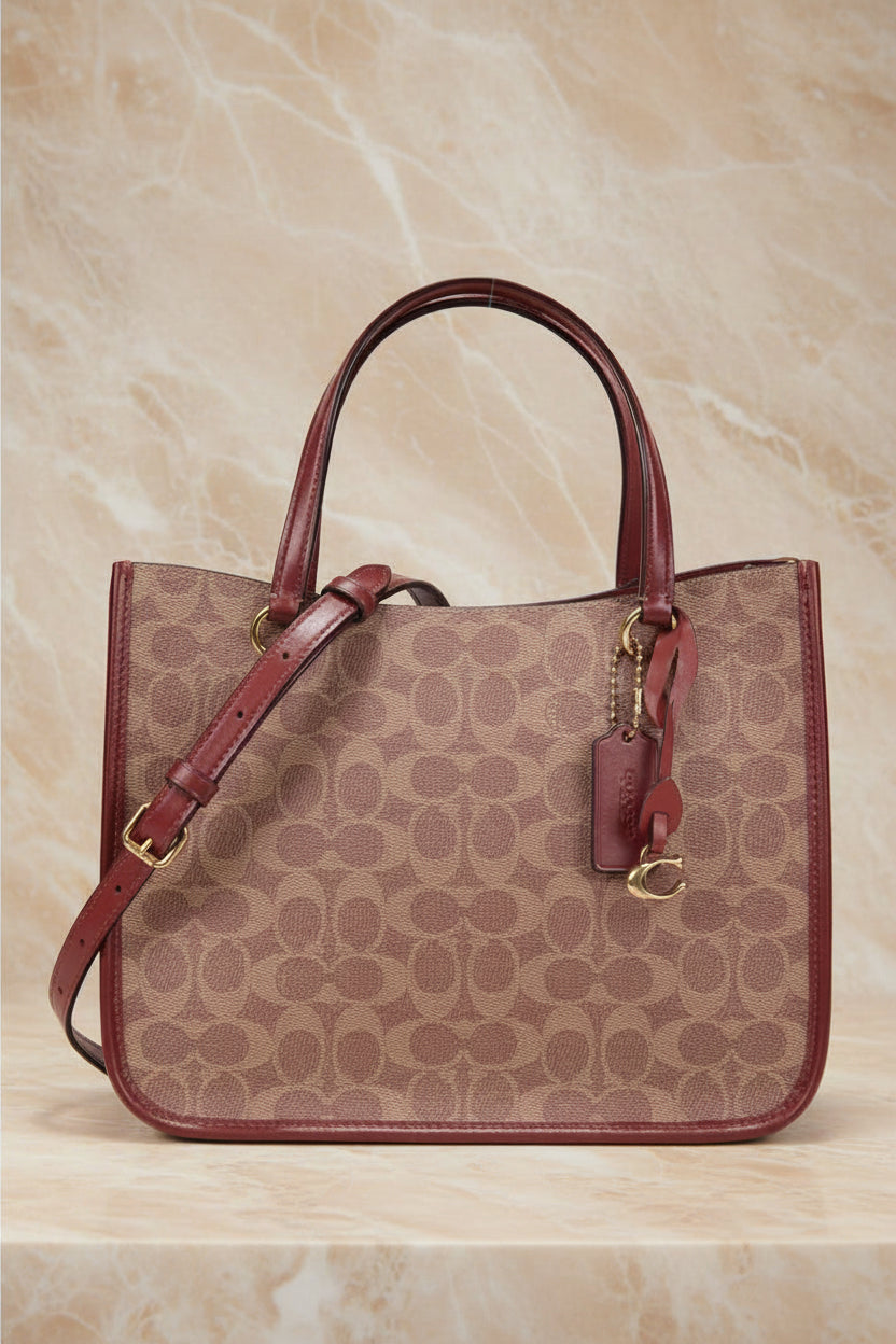 COACH TYLER CARRYALL 28 IN SIGNATURE CANVAS