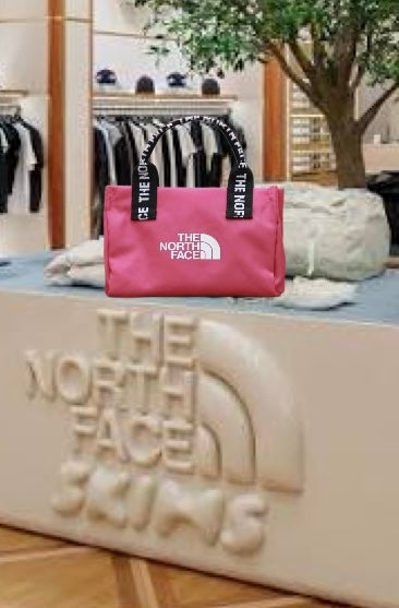 NORTH FACE MINI SATCHEL