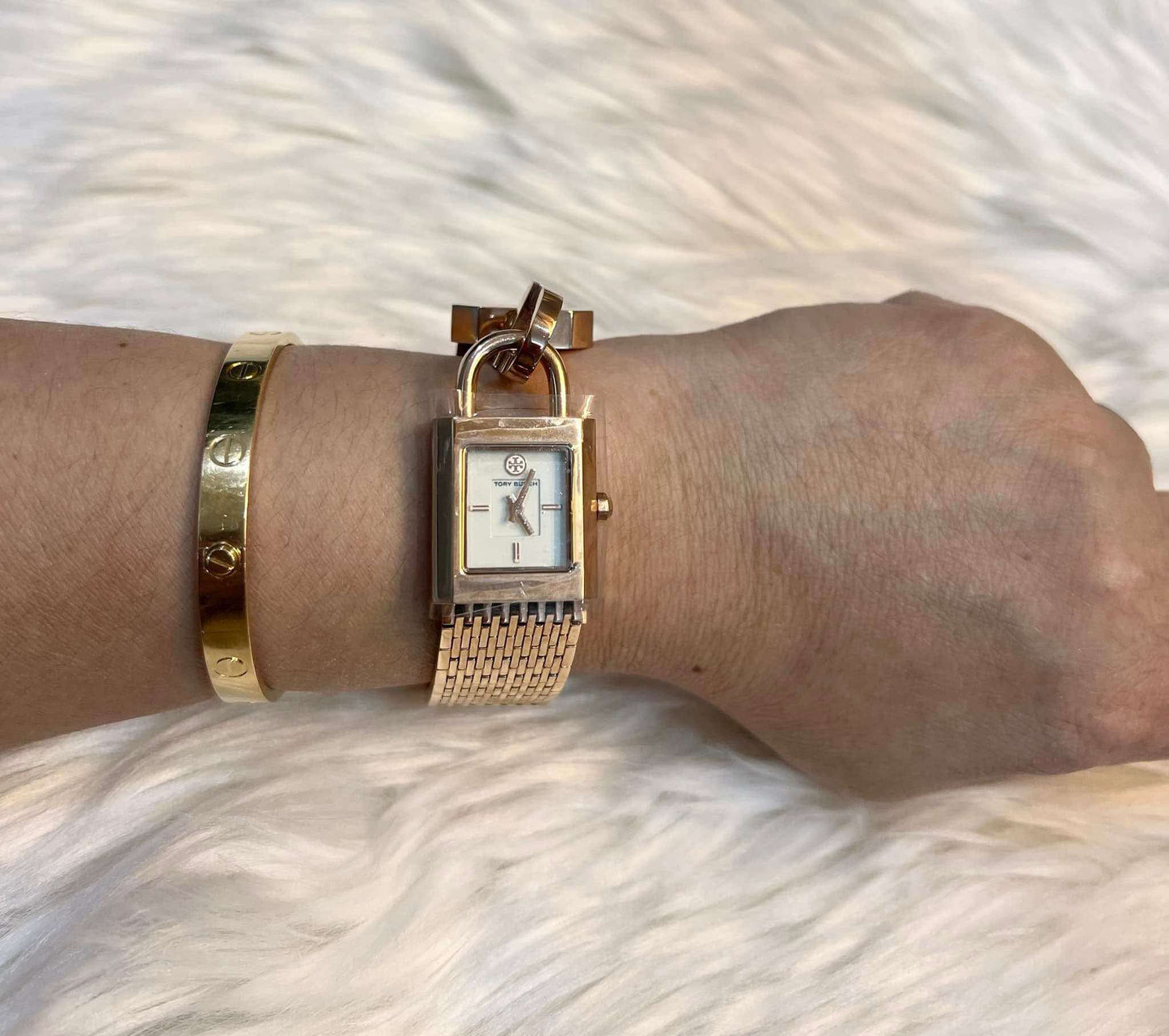 ساعة توري بورش