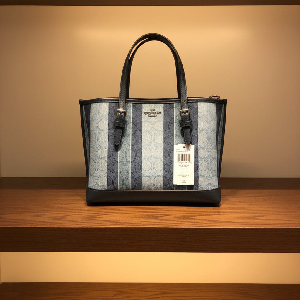 COACH MOLLIE TOTE 25 IN SIGNATURE JACQUARD WITH STRIPES - SILVER/MIDNIGHT MULTI