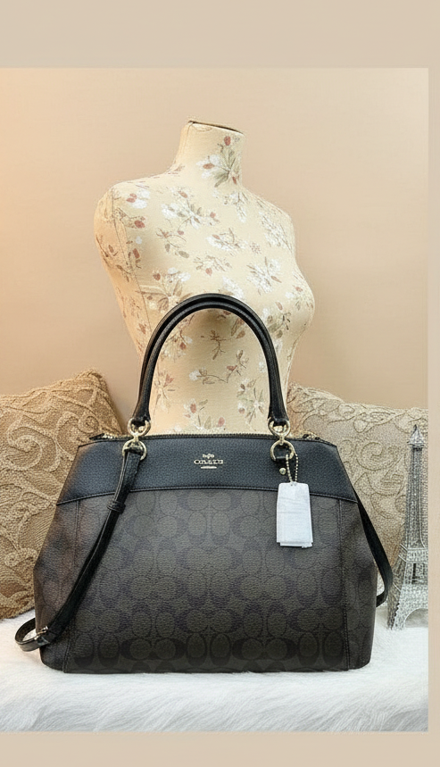 COACH BROOKE CARRYALL LARGE