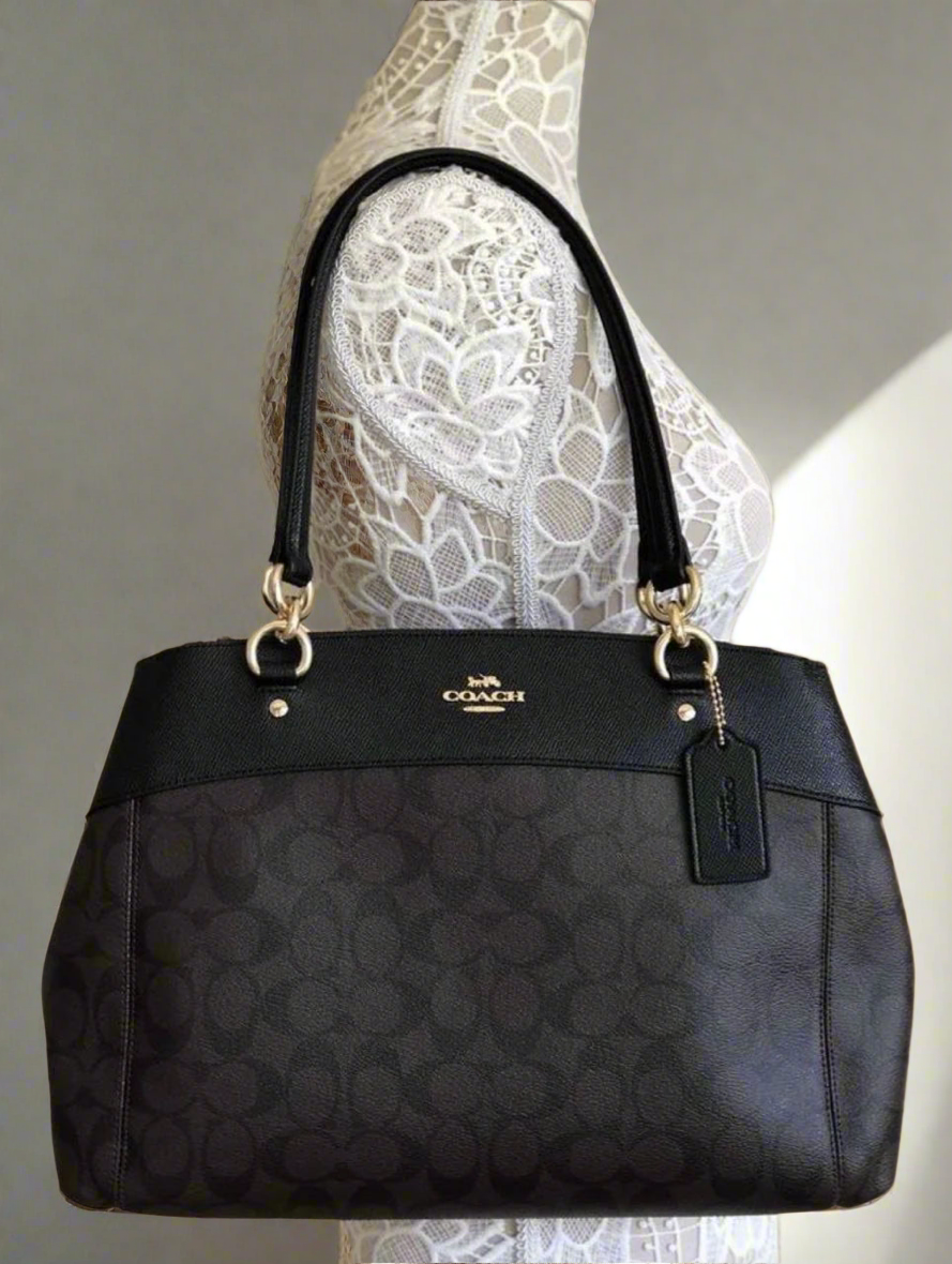 حقيبة حمل كبيرة من كوتش بروك