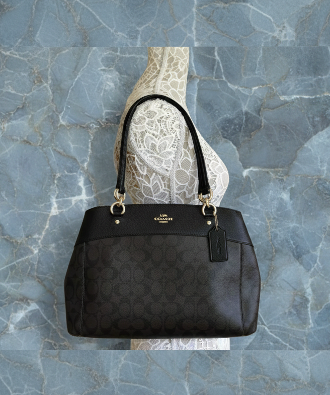 حقيبة حمل كبيرة من كوتش بروك