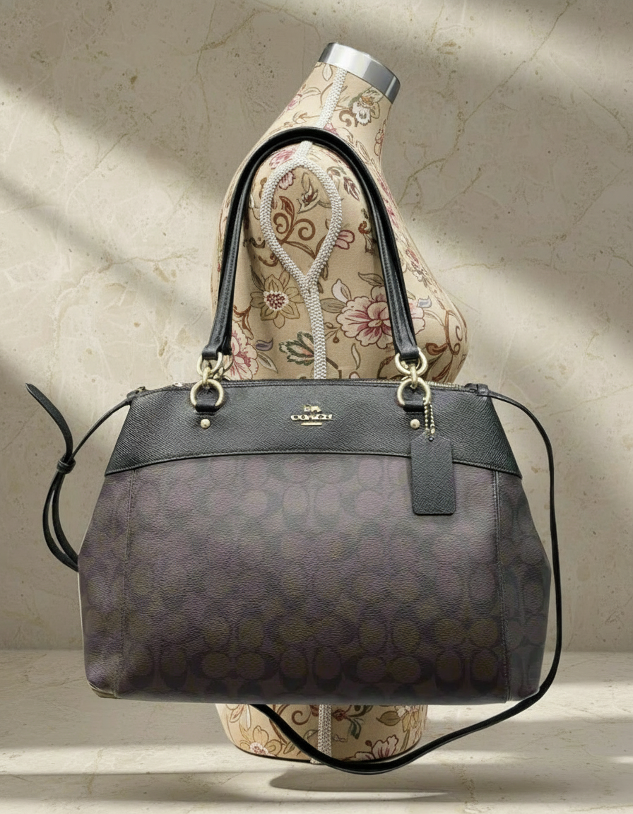 حقيبة حمل كبيرة من كوتش بروك