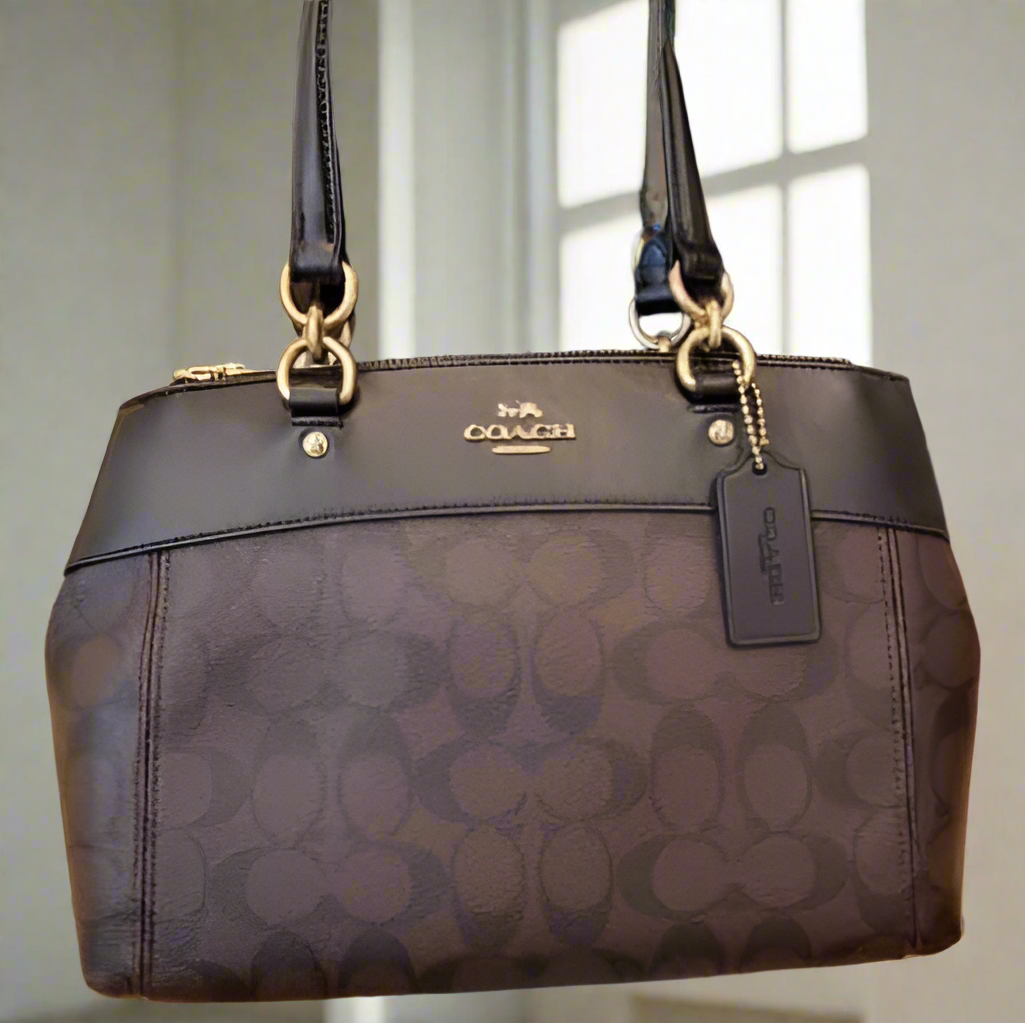 حقيبة حمل كبيرة من كوتش بروك