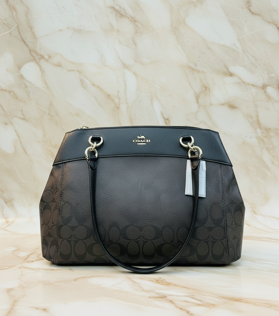 حقيبة حمل كبيرة من كوتش بروك