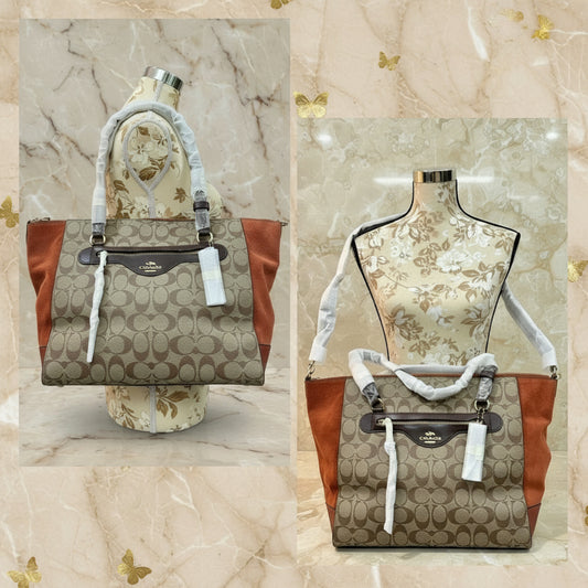 COACH KLEO CARRYALL IN SIGNATURE CANVAS